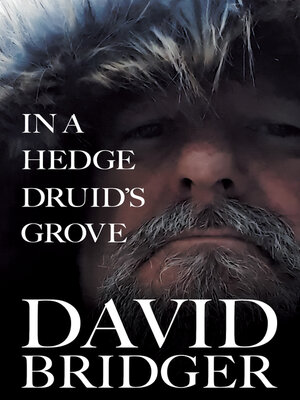 cover image of In a Hedge Druid's Grove